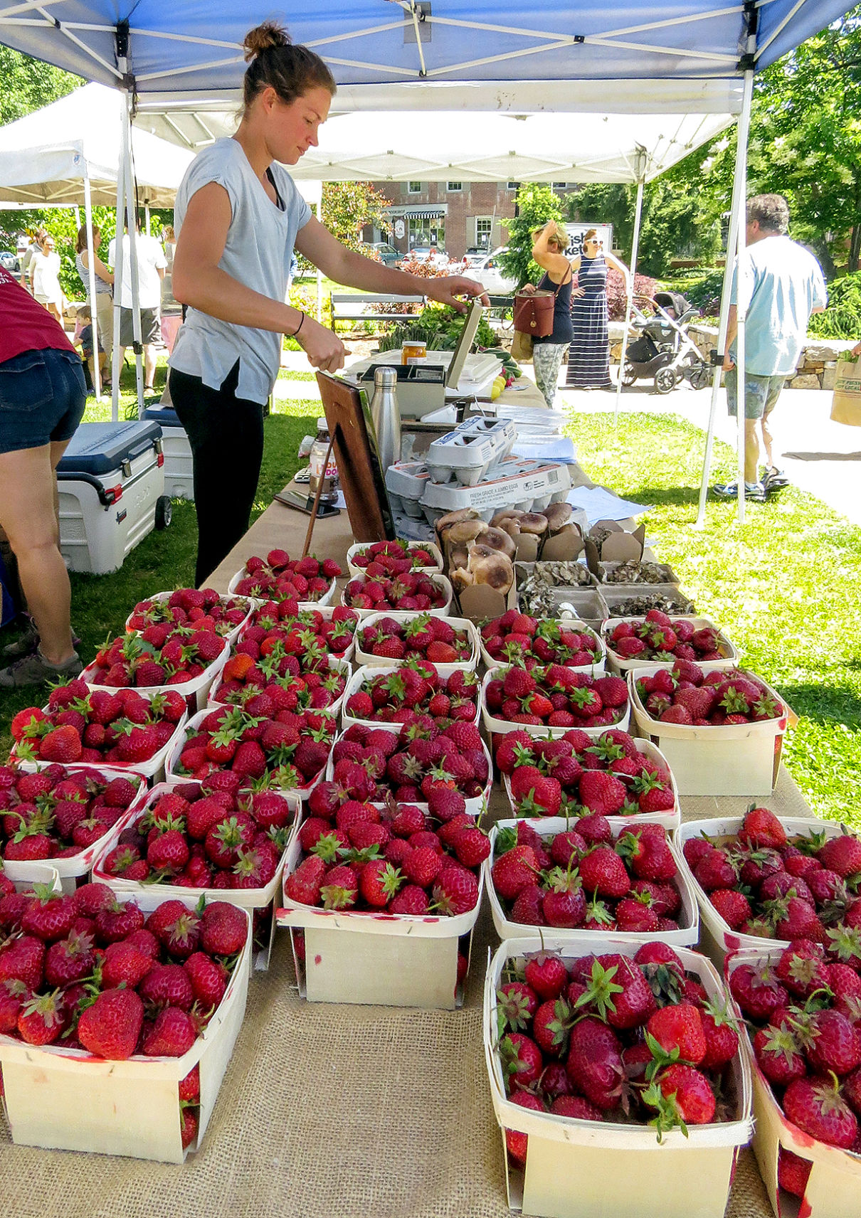 FARM FRESH